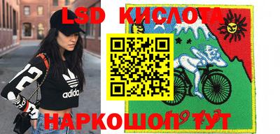 гидропоника Берёзовский