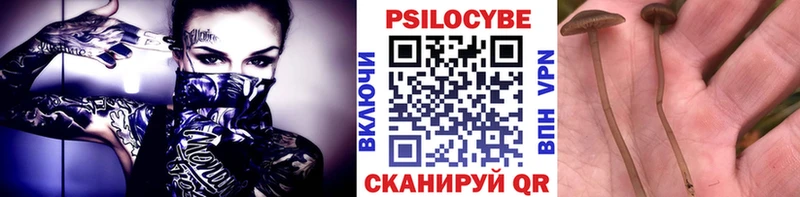 Псилоцибиновые грибы мухоморы  где найти наркотики  Горно-Алтайск 