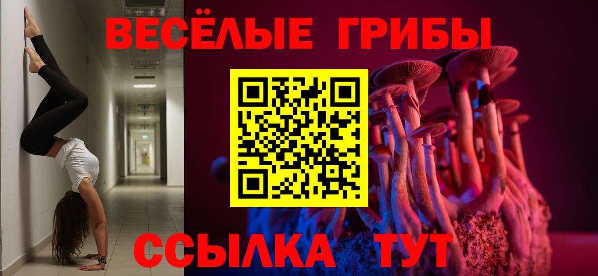 Галлюциногенные грибы мицелий Горно-Алтайск