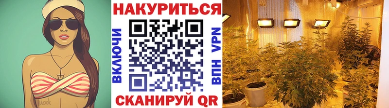 Марихуана тримм  OMG tor  Горно-Алтайск 